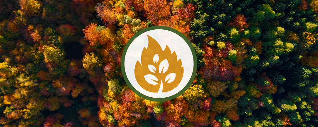 original outdoors logo overlaid on top of drone shot of autumn trees