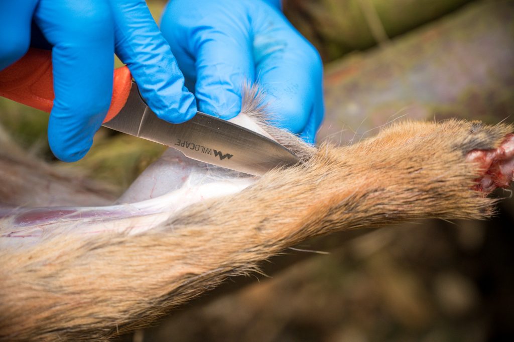 UK Outdoor knife laws 2024